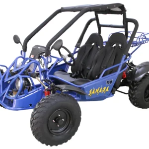Sahara 150cc buggy go-kart with electric start and reverse, parked on a dirt trail.